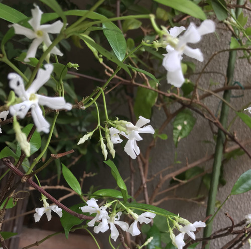 5ebb49f89faf4a9b9fe490394cf74159