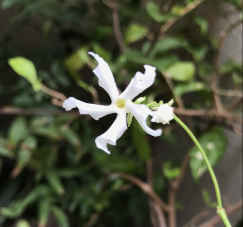 80f39edbb6d04a1f9768e02ba813b868