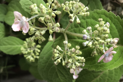 92bd6420a455425197404c0827dd761a