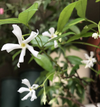 A6f6e300e46641d0bb7d6e13ce18a76a