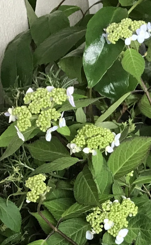 Bf307131da3f41498d5350ba75fcdfdd