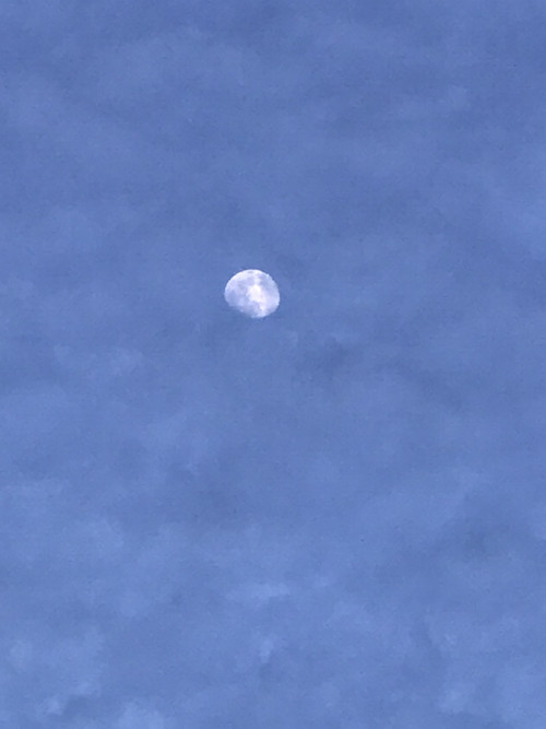 A108f9feaa6140009d4814bbb64f0375