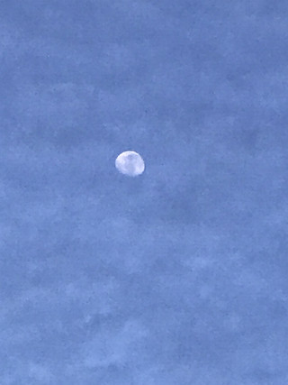 1917fb56a3bf4b5da59c9674d6715959