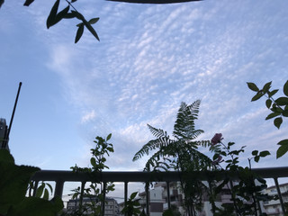 77e5d2c378d345f8af8808adb36f97b9