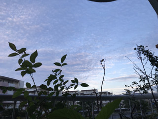 B5919b3097544bf2a927c32ed36bee2e