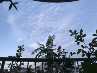 Ba2c48a54a2b42bf89ca588953ff2341