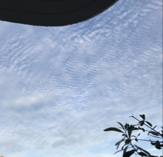 E2167ede480c442daf07587adc2c2047