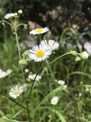 B36438e3a74549d5abfcb3fa389895d2