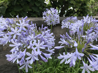 4dcb03173d49422ab140e9bdb0e89a39