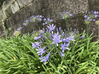 61796ebf60b64763bb017293e0d3fc0a