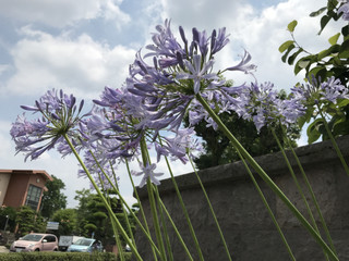 9a474286a4dc45b890a085bc88262268