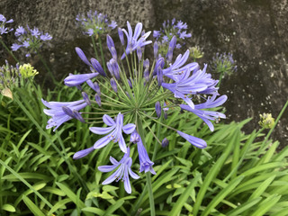 9b4899bb84114cce801bf8f3a7b4c7c0