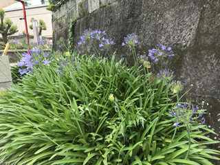 Fbd347d7171b4735a1c39ea3d51c2ab4