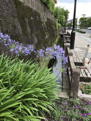 4e48a19c2f2e485ca5fd912785628e45