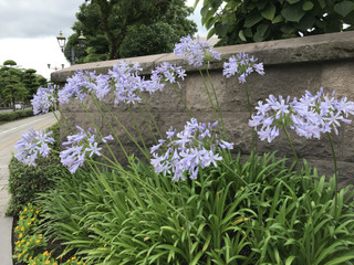 5e3943e816b542e88e1bd9979d0d5341