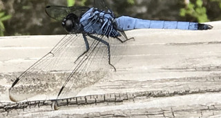 6af66a48705f4fd7b2c7c89ecf69dacb