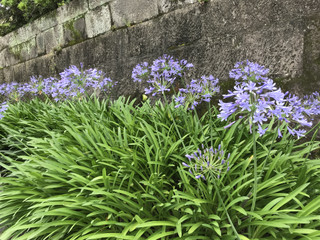 75f7f0ced1dd4852a15949cce6529755