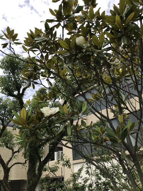 0664918c218f4d5f87cc564cb1831ef1