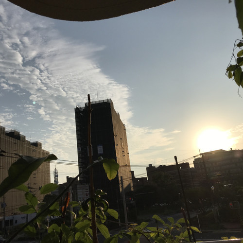 0bbd6fc17156489bb2a900f3303905ff