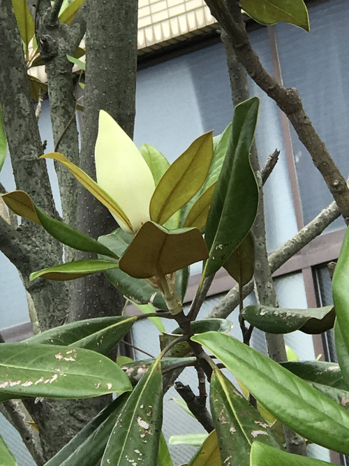 0d7f26f8cab34a80aad06f8671a7728a