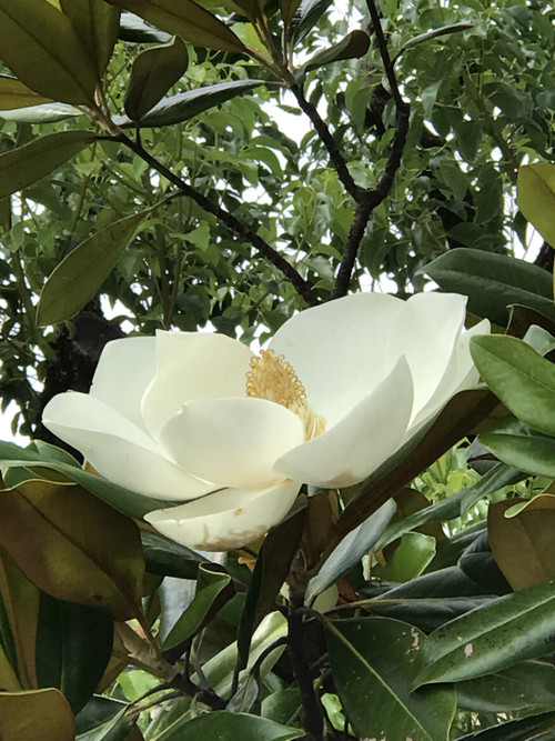 566cd212fe7d4eeda585a4081f5486e1