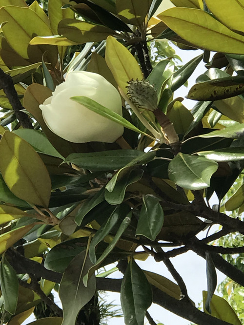 Fd0a0d5349b44cb5be4f081d85f268c0