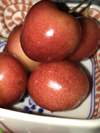 B5fd696ce6704ccaa6e78639f9cf7d79