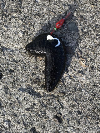 249f6a27de8b4b94b2443c665e6dec5e