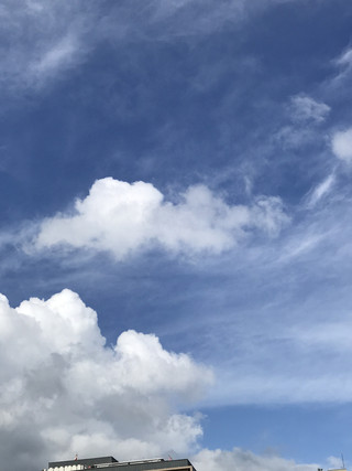 6d76556831e4410ab450cb6c02213f7f