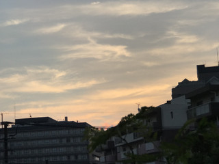 6e1882b1180140efb2efd95a32d22244