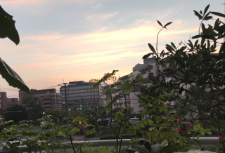 831298963f534ab4b5547ff9f95e508c