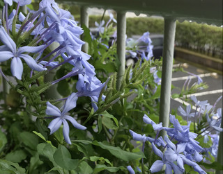 57ef1e655572475e933b23532f29ca39