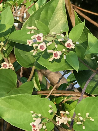 0279f887567343d89382feefae59e388 0279f887567343d89382feefae59e388