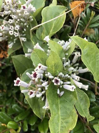 04b2ea78a5ef4aa399f7ed82aed25dd0 04b2ea78a5ef4aa399f7ed82aed25dd0