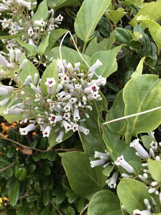 504d535fd84d4ceda7bc7cf9d929ca85 504d535fd84d4ceda7bc7cf9d929ca85