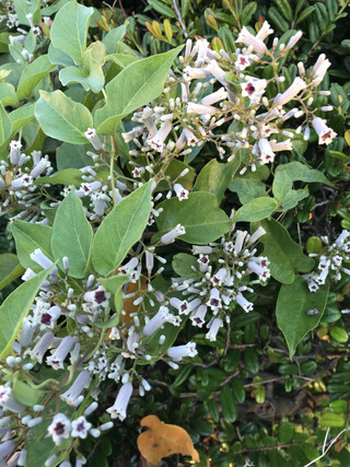 869caf0ee6f44b54936fb317ab050bc5 869caf0ee6f44b54936fb317ab050bc5