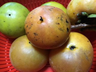 06dab508cbe2439788f7b8d1311bac7d