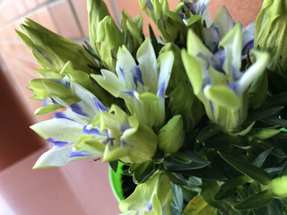 0a6dd9e8ec154487a7d397a935ce9b42