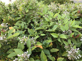 D040aeb8433f464bbc484f51c03adc9f D040aeb8433f464bbc484f51c03adc9f