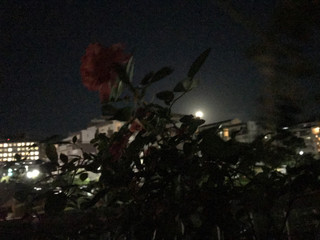 872ce14fac6f41d5b514fb780adcdded