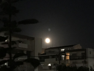 919cc4eb1ea34b5182fcd0d18ac9c2be