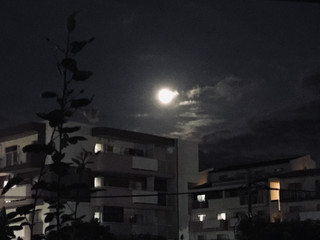 4add1998d55b4ddf8c2b0ec77d037028