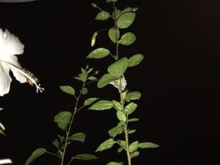 5303bc2dfbc648968e64824e90d57a58