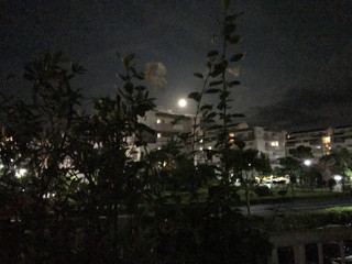 5b1b384801364784bfba9527e417d8e8