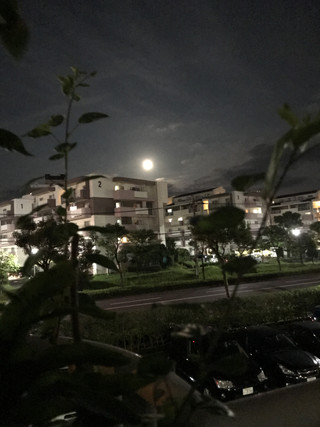 C868cf5d36404137ace49d71a73b0727