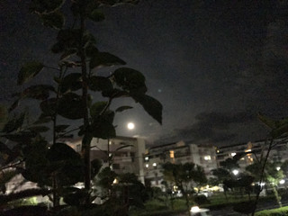 Da948fd1f2e14ff8b1d132bbb8b9410f