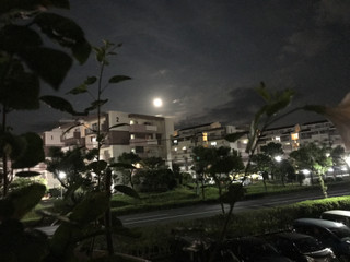 E7eb419639434f64a11fd5d17492bfbf