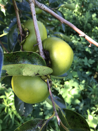 0279b10f5f3e478e99e463d1120af8c8 0279b10f5f3e478e99e463d1120af8c8