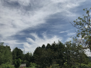 42db671d260e4da98a8792acf79d08f5 42db671d260e4da98a8792acf79d08f5