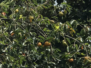 56166741d54449028c88c28c9b75c3ce 56166741d54449028c88c28c9b75c3ce